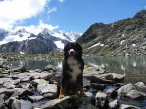 foto-20110828101435-1310.700x700